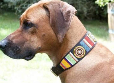 Wholesale African Inspired Personalised Leather Beaded Dog Collar set of 2 with Brass Metal Buckle. Cat Collar with Beautiful Beads. Gift